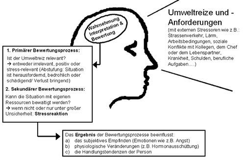 Stress theory. Лазарус стресс. Модель стресса Лазаруса. Модификация модели психологического стресса Лазаруса.